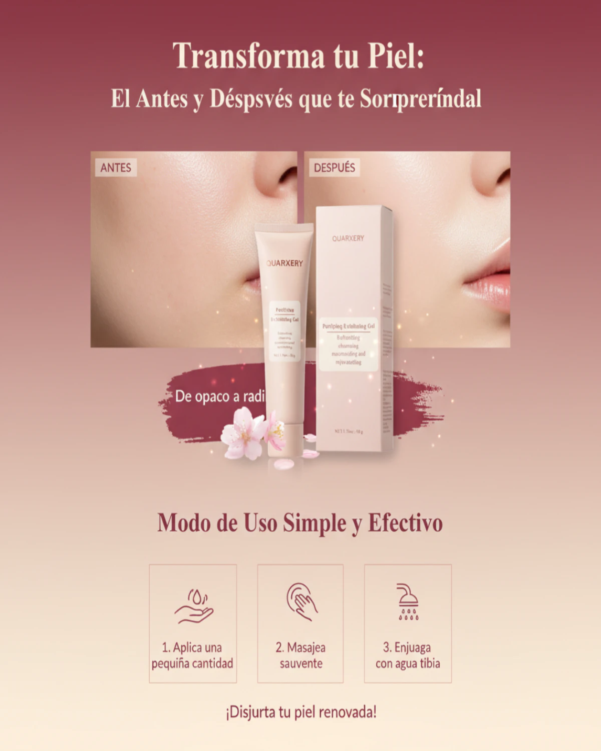 Imagen de la sección 1